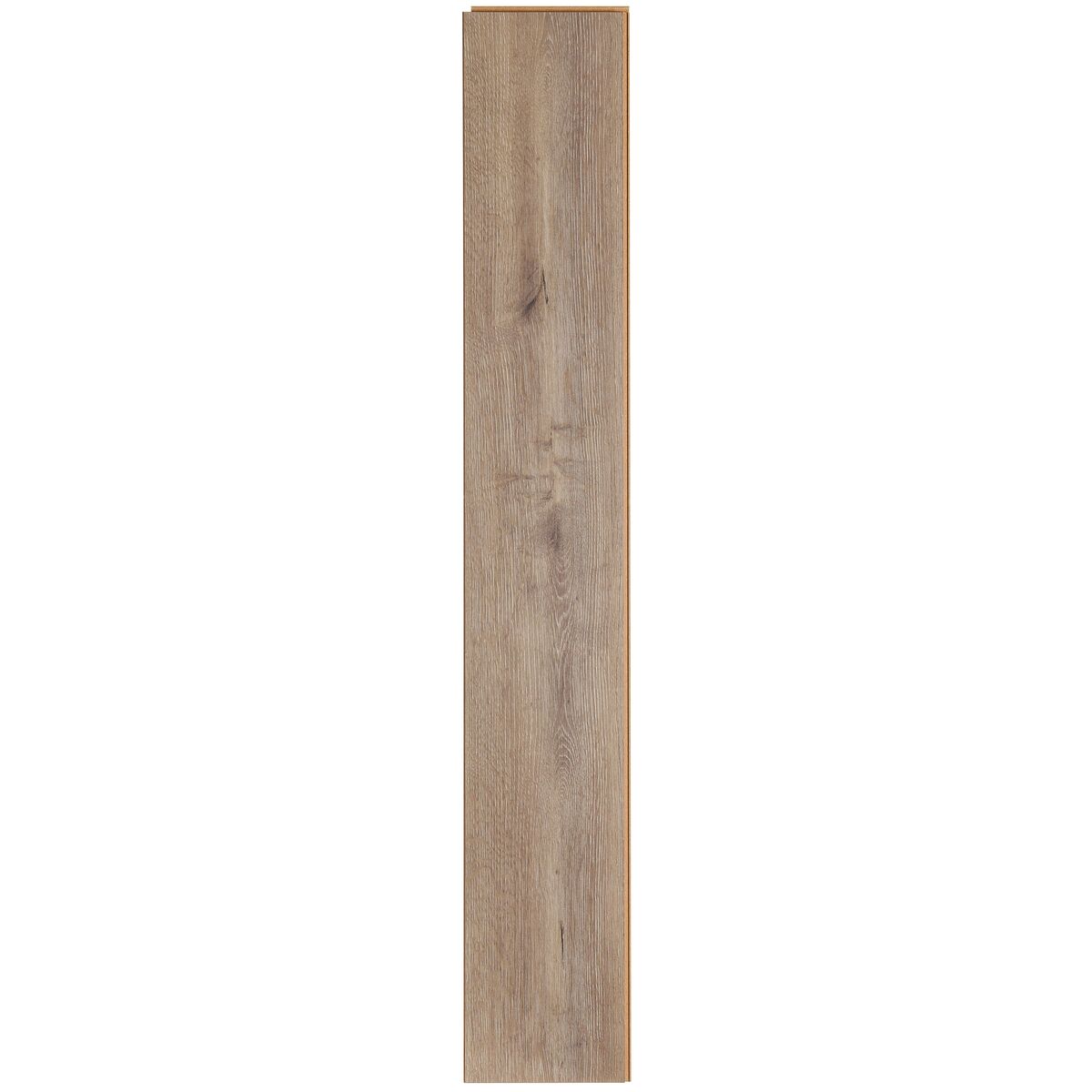 Panele podłogowe laminowane Dąb Mandisa AC6 12 mm