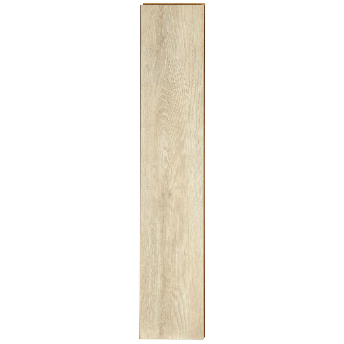 Panele podłogowe laminowane Dąb Yonas AC6 10 mm