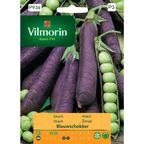 Groch BLAUWSCHOKKER VILMORIN