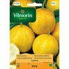 Nasiona warzyw LEMON Ogórek gruntowy VILMORIN