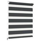 Roleta dzień noc Peter 43 x 160 cm szara z systemem click Inspire